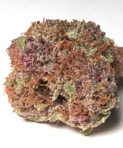 buy weed online italy